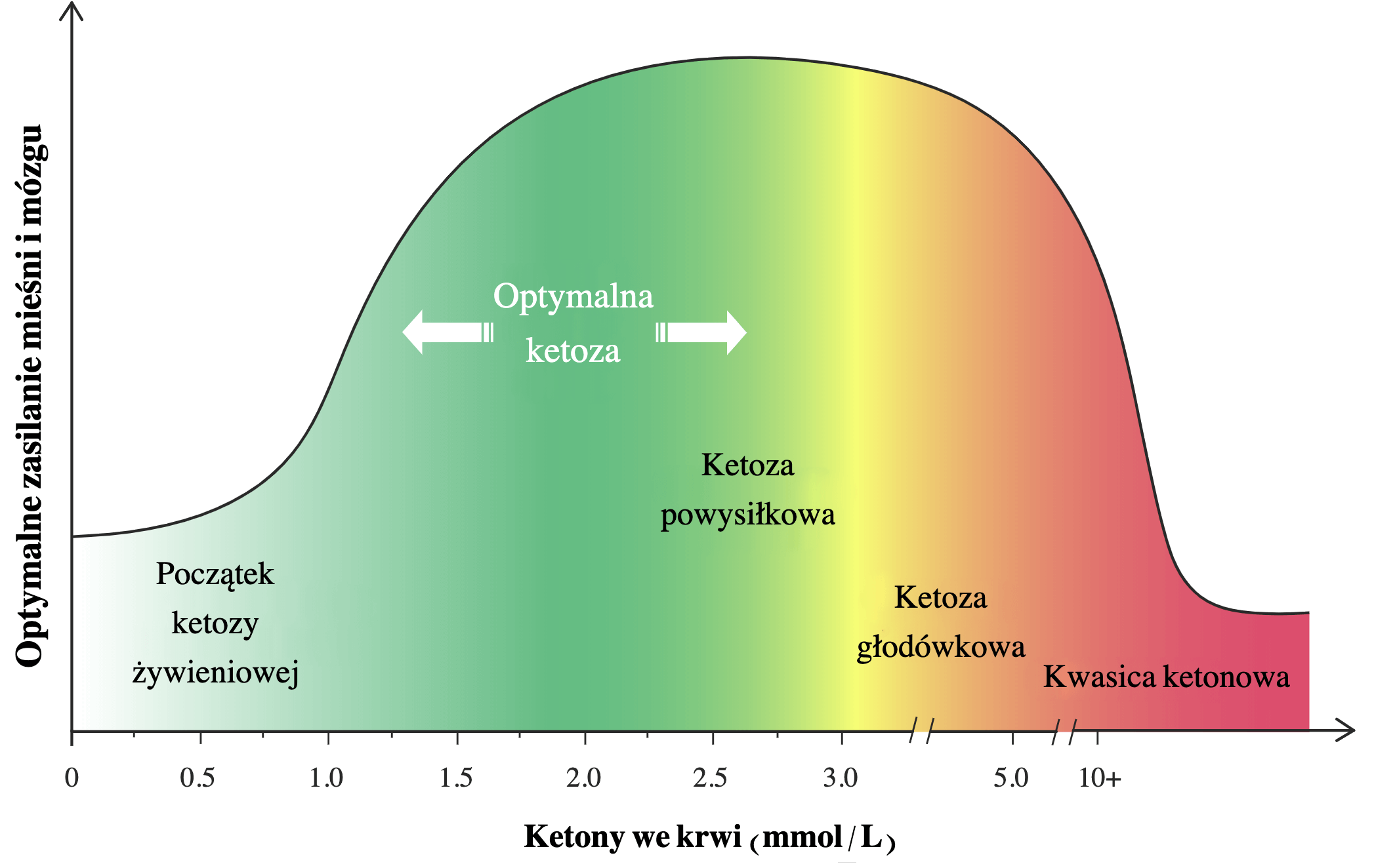 optymalna-ketoza