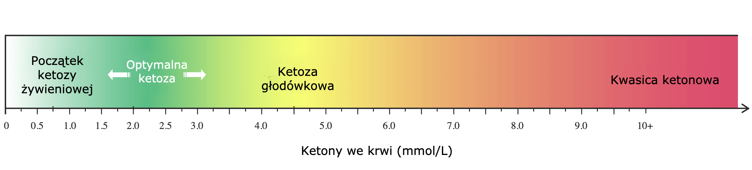 graf-ketoza